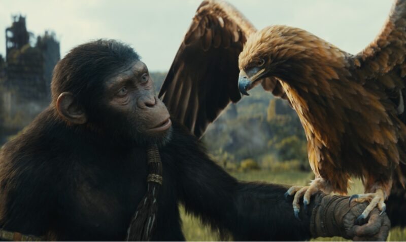 Nový film Království Planeta opic globálně odstartoval se 129 miliony dolarů